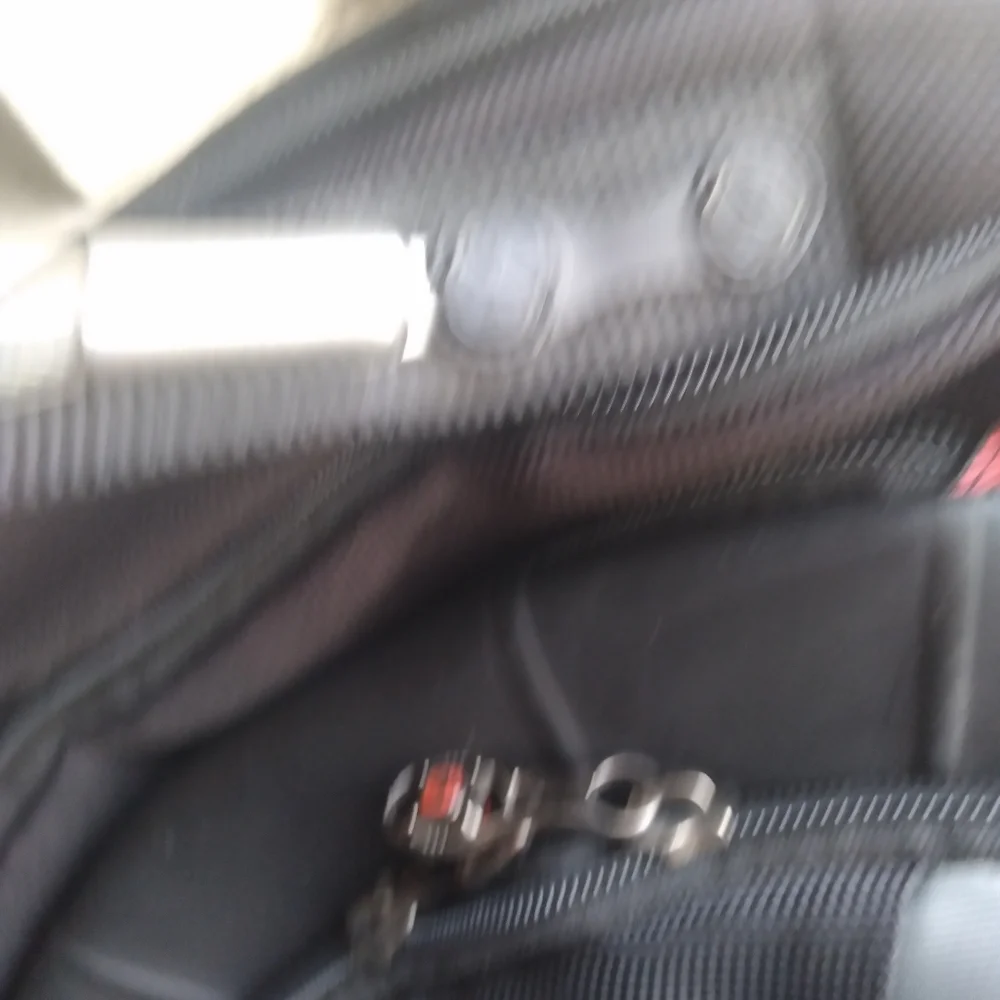 Black and Gray Men's Swiss Guard Backpack 19